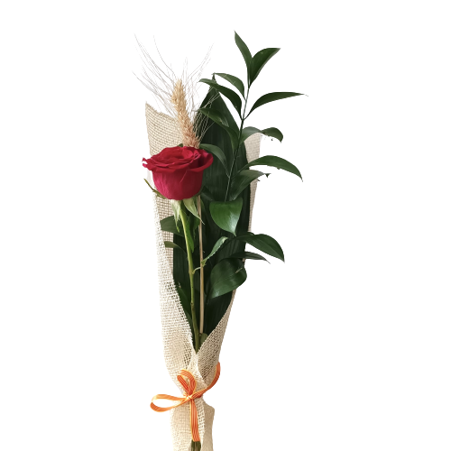 Sant Jordi Premium Rose