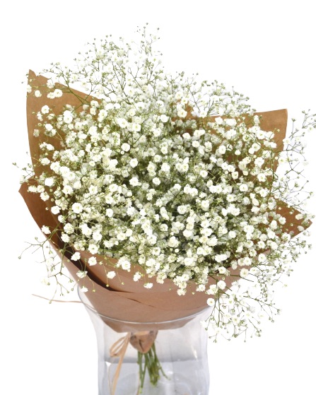 Bouquet of White Paniculata "Entheromania"