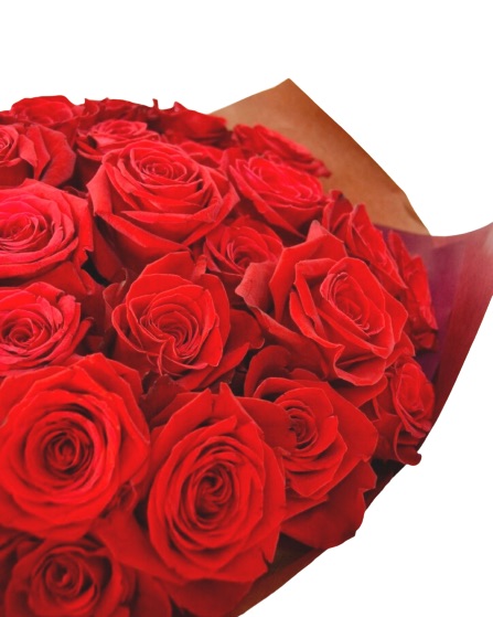 Ramo de 50 Rosas Rojas | Envío de flores a Domicilio Online | Rosistirem