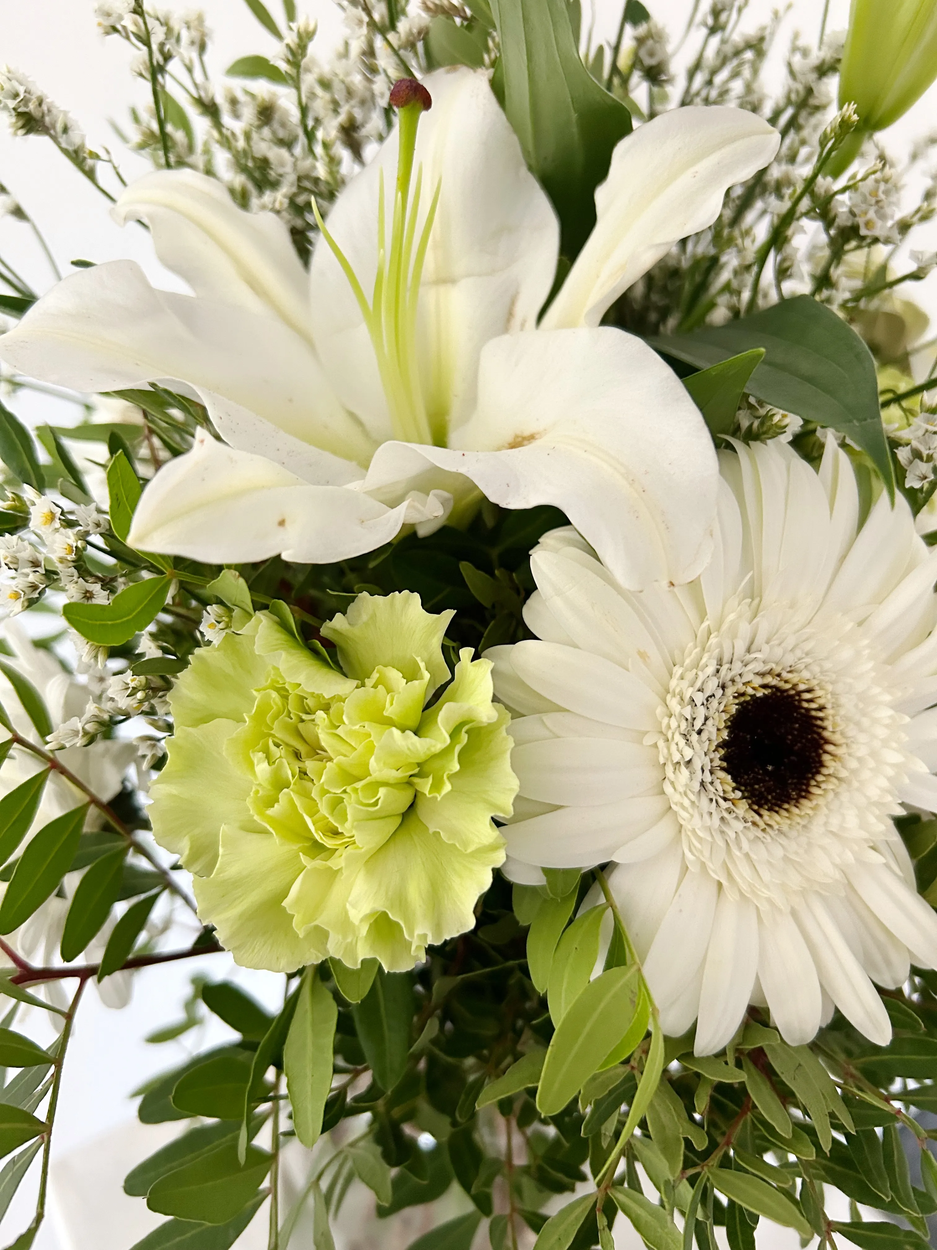 Ram Cromàtic "WHITE PEARL"