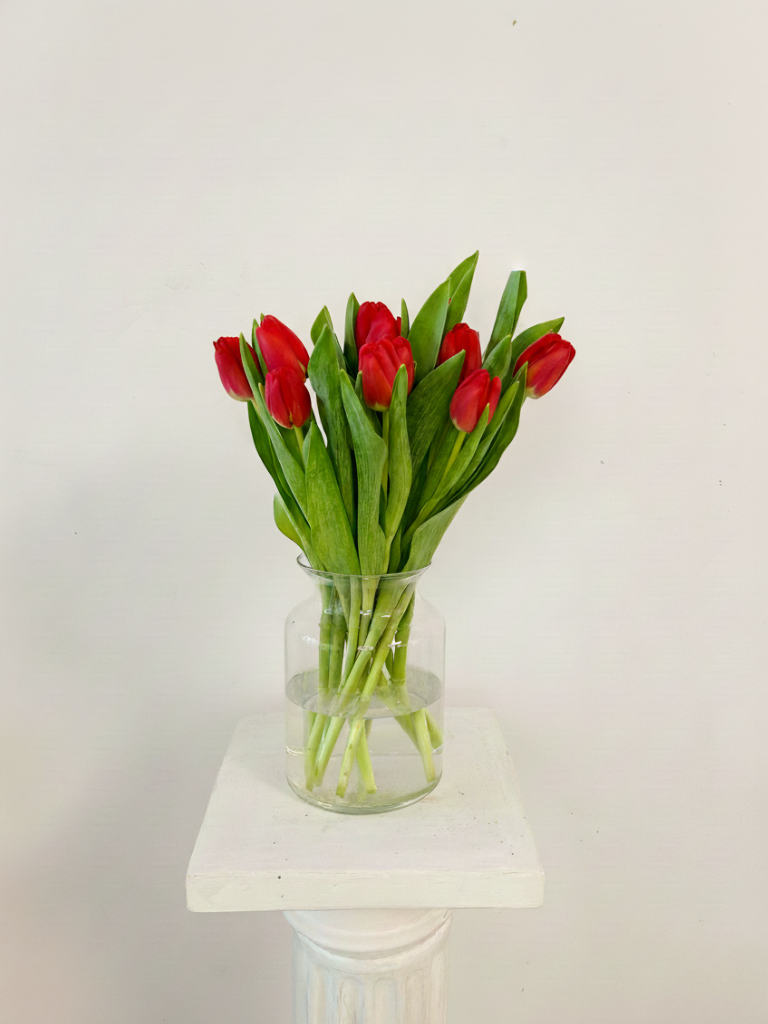 Bouquet of 20 Red Tulips