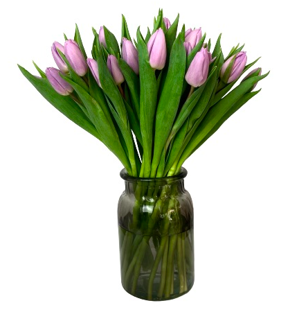 Bouquet of 20 pink Tulips "Maktub"