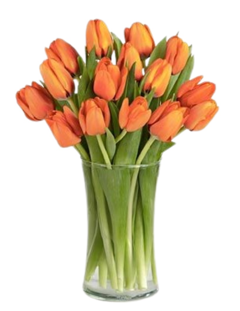 Bouquet of 20 Orange Tulips