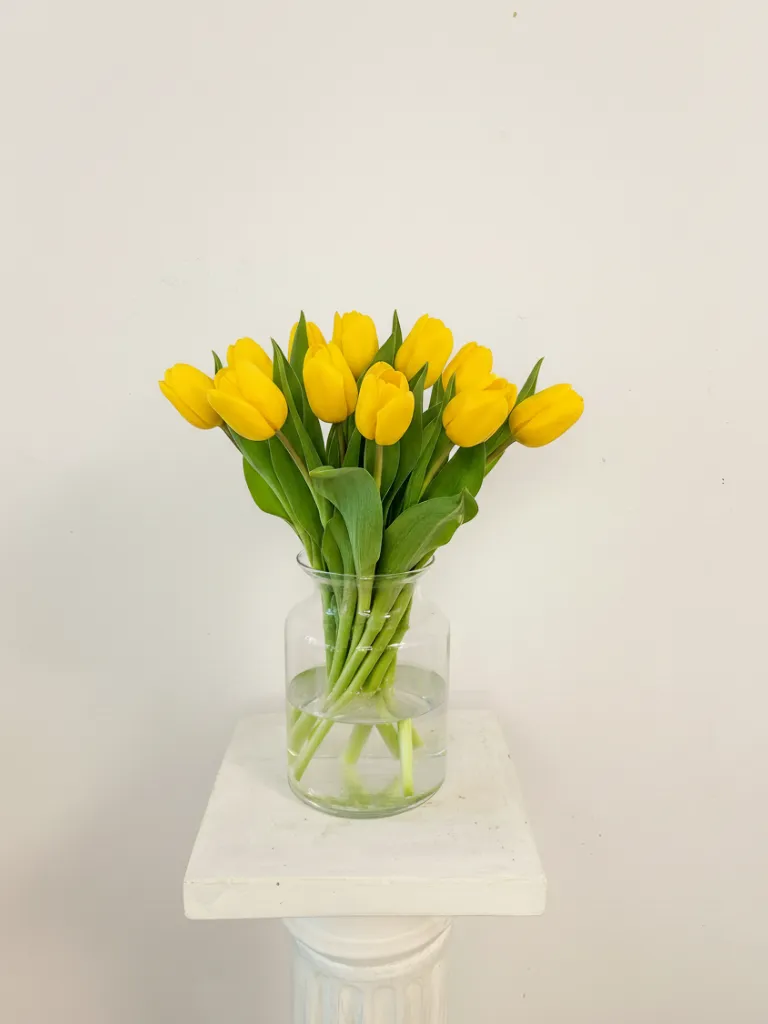 Ram de 20 Tulipes Grocs