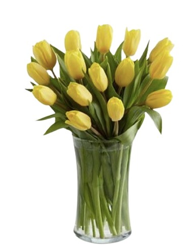 Ramo de 20 Tulipanes Amarillos "Alma"