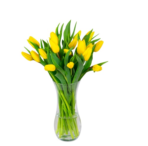 Ramo de 20 Tulipanes Amarillos "Alma"