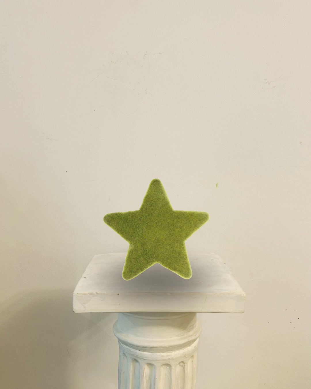 Estrella Moll Preservat