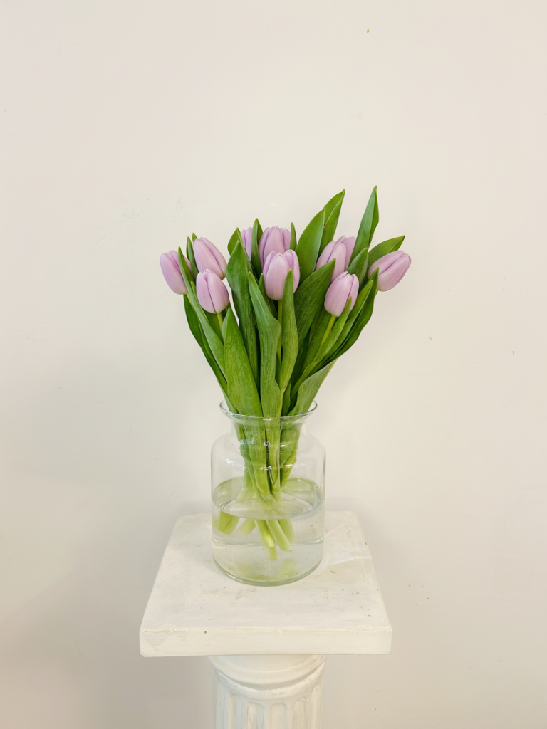 Bouquet of 10 Purple Tulips