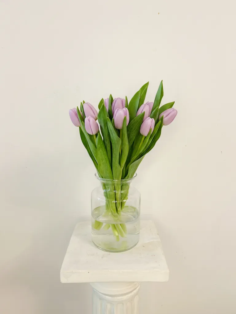 Ram de 10 Tulipes Morades