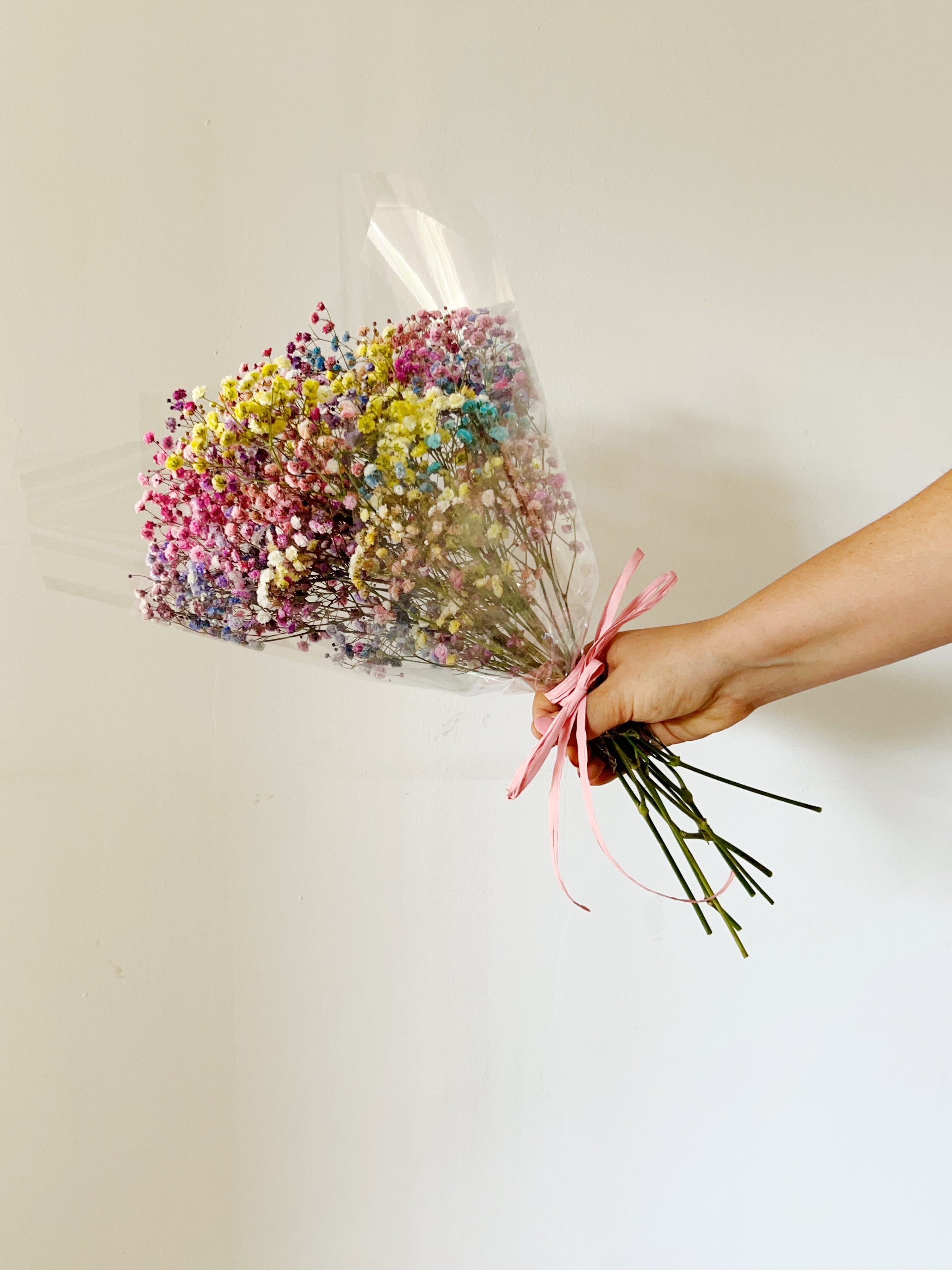 Bouquet of Colored Paniculata "Rainbow"