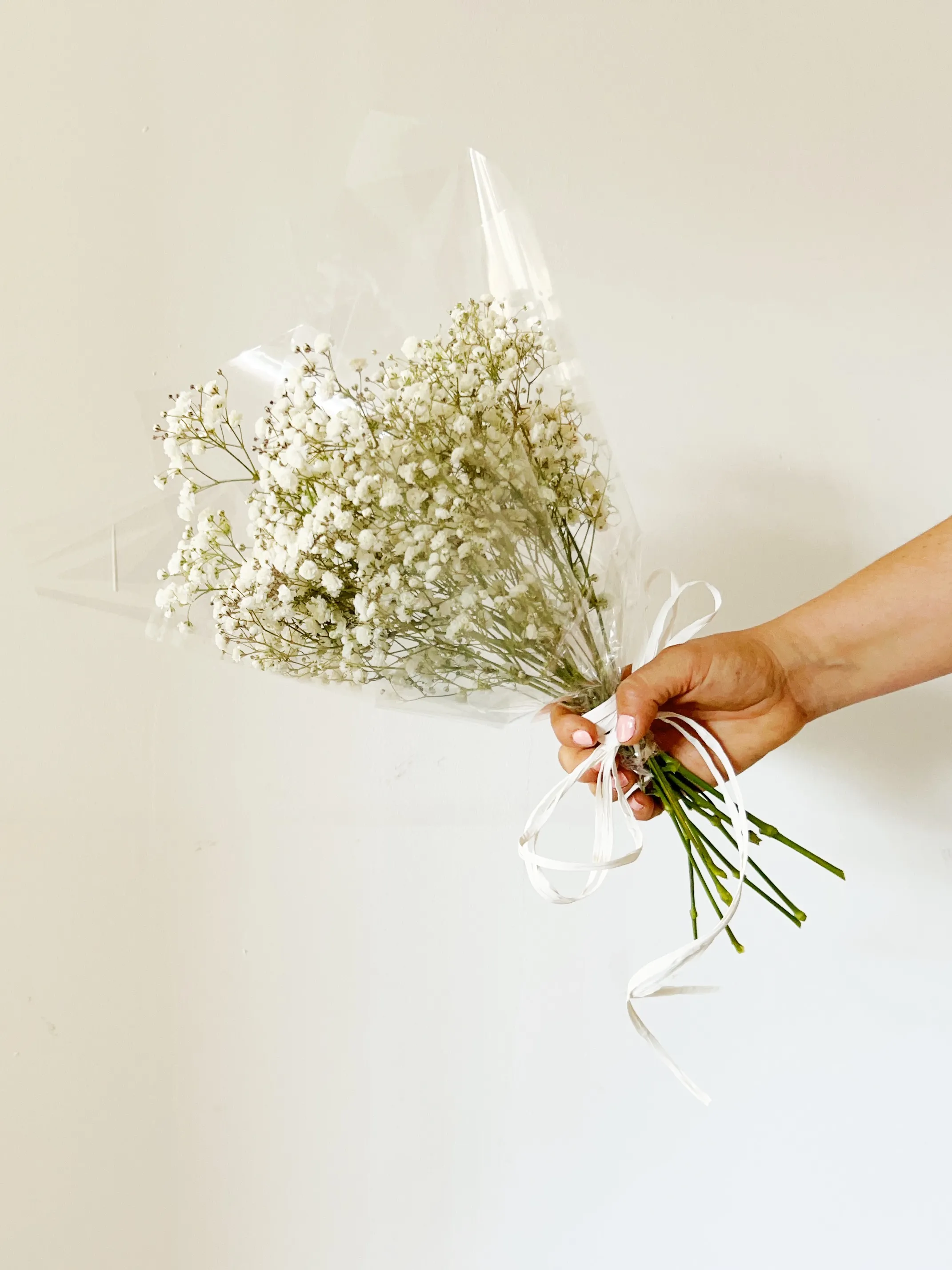 Ram de Paniculata Blanca "Entheromania"