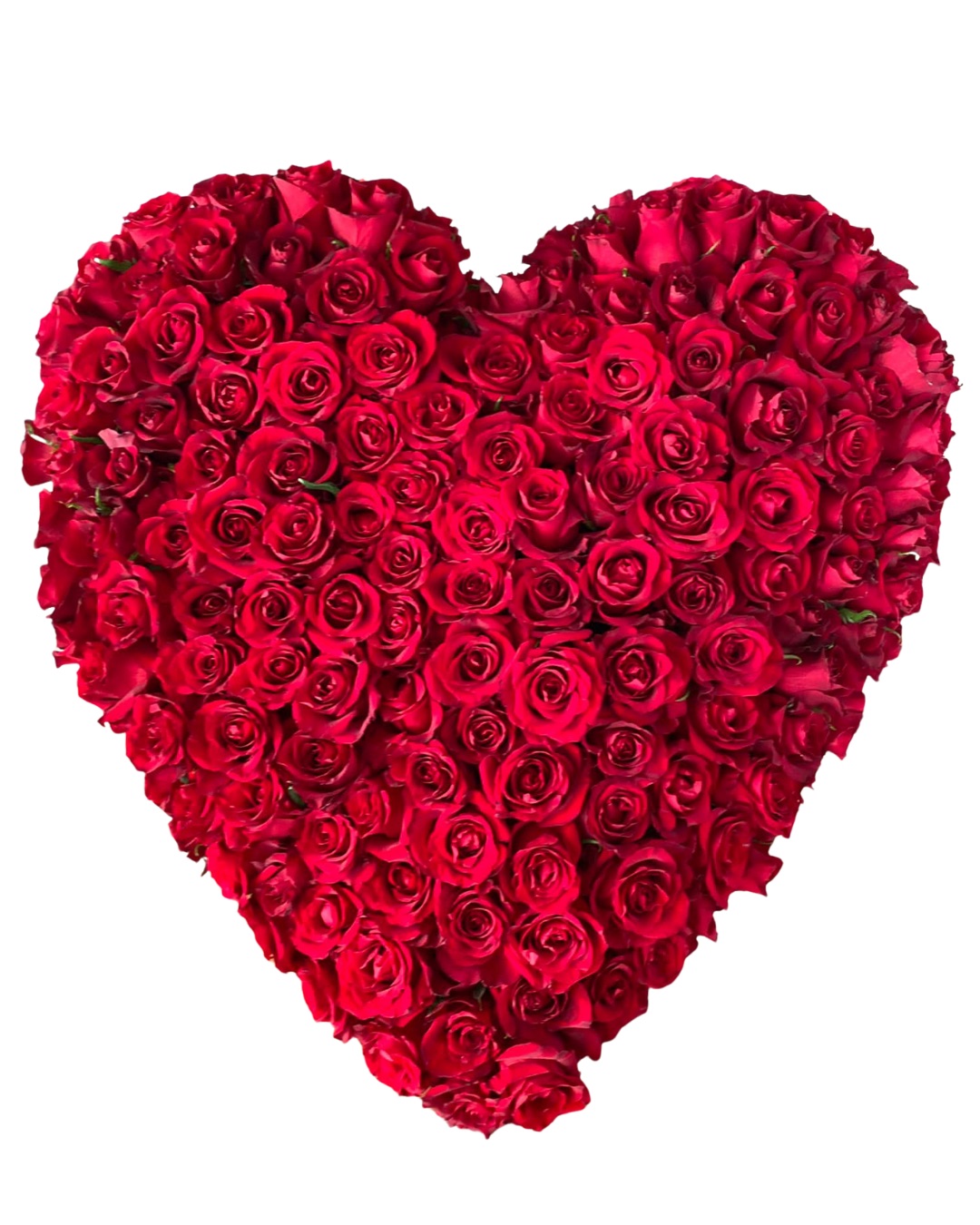 Corazón de 200  Rosas Rojas