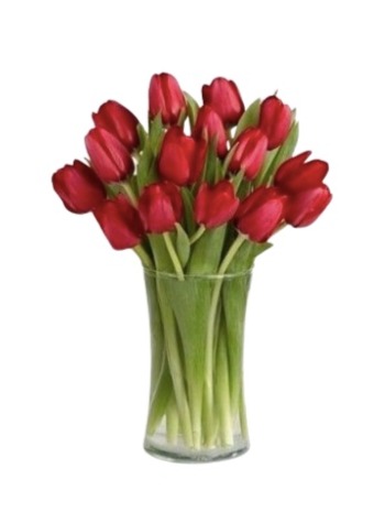 Bouquet of 10 Red Tulips "Rouge"